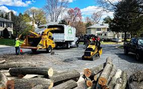 Best Leaf Removal  in Attica, MI